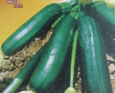 тиквички Диамант F1