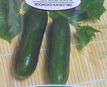 краставици Суит Крънч F1