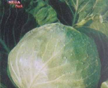 зеле Манисиас