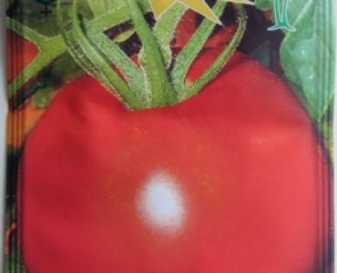 домати Назарет F1