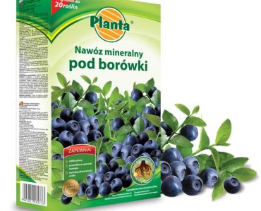 Тор за боровинки Planta