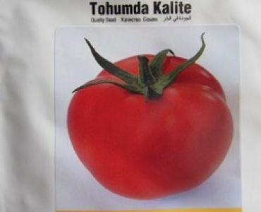 домати Грандо F1