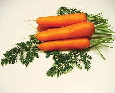 моркови Саманта F1 