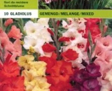 гладиоли - Микс 10 бр.