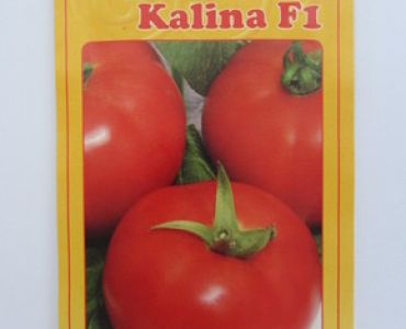 домати Калина F1