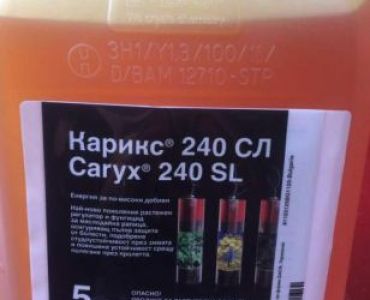 Карикс 240 СЛ