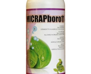 Микрап Боро 11 / Micrap Boro 11