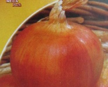 лук Златна Парма