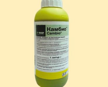 Камбио СЛ - ЗАБРАНЕН ПРЗ