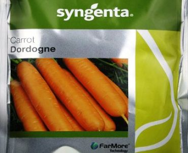 моркови Дордоне F1