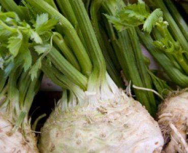 целина за глави Цезар F1