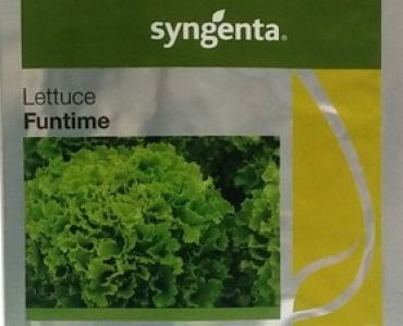 салата Фънтайм F1