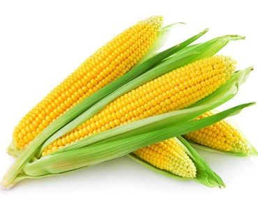 Супер сладка царевица GSS 8529 F1 (Syngenta)