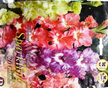 гладиоли Sparkling (Ruffle mix)