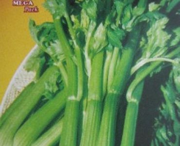 целина дръжкова - Селъри