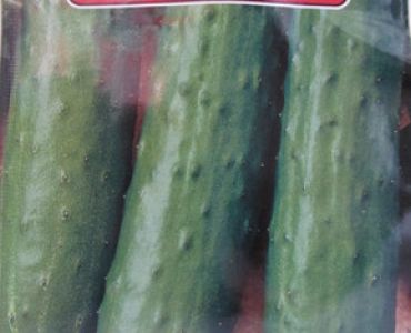 краставици Маркетмор