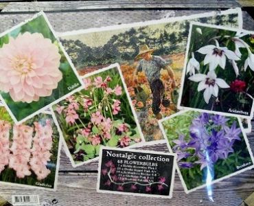 Цветен микс от пролетни цветя (68 луковици)