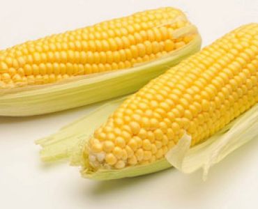 захарна царевица Sweet Wonder F1