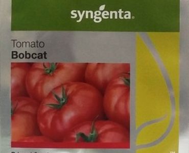 домати Бобкат F1 (детерминантни)