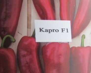 пипер Капро F1