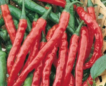 пипер Кайена`SG