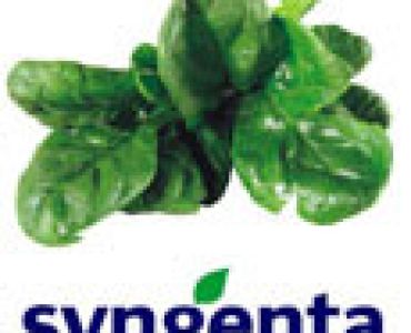 спанак Елфорте F1