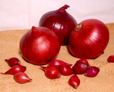 Лук Ред Кармен (Red Karmen)