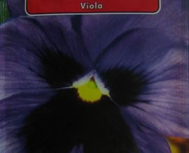 теменуга Виолетова с черно сърце