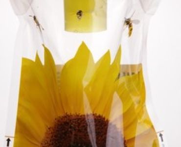 Примамка за оси