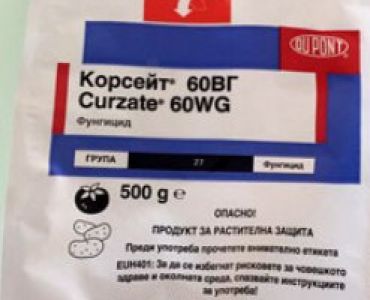 Корсейт  60 ВГ 