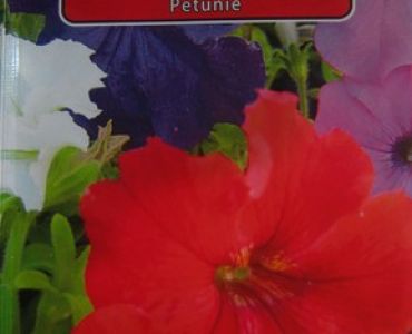 Петуния бордюрна