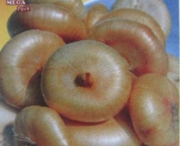 лук Боретана