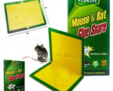 Леплив капан за гризачи - Mouse and Rat TIBTRAP