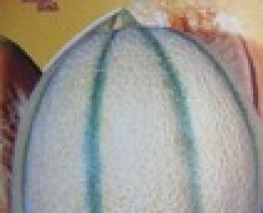 пъпеш Супермаркет F1