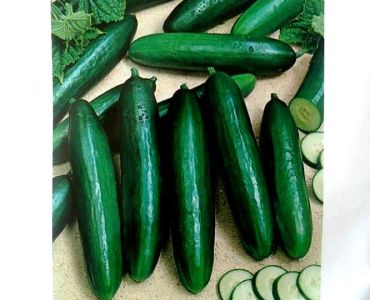 краставици Тропикал Слайсър