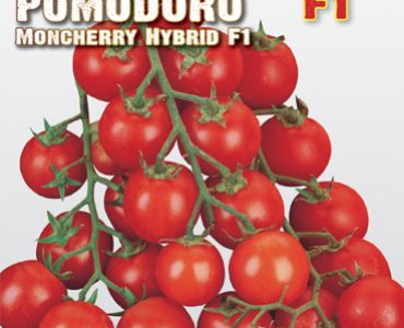 Домати чери F1`SG