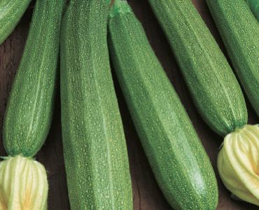 тиквички Lungo Fiorentino`SG