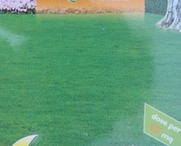 Тревна смес ливадна