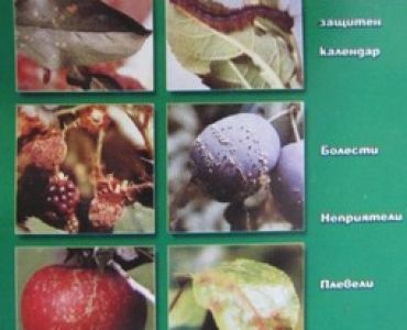 Календар за защита на овощните