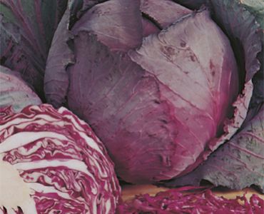 зеле Cabeza Negra 2`SG