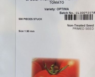 домати Оптима F1 