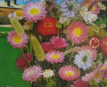 Цветен микс за сухи цветя