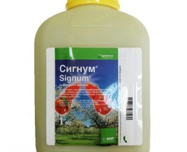 Сигнум