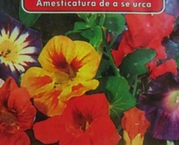 Цветен микс за увивни растения