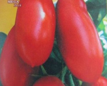 домати Сен Мерцано