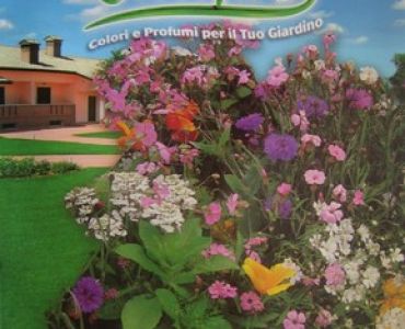 Цветен микс Японска ливада