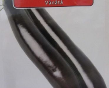 патладжан Дълъг