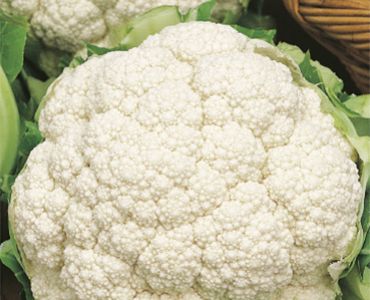 карфиол Toscano 3`SG