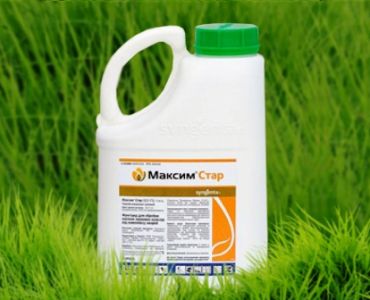 Максим Стар - ЗАБРАНЕН ПРЗ