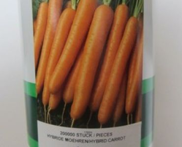 моркови Билбо F1